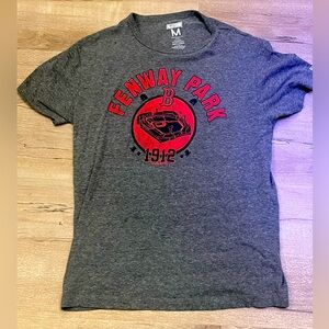Men’s Gray Fenway Park Graphic T-Shirt. Size M